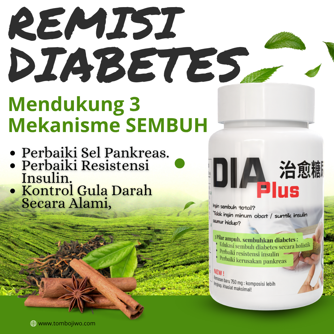 DiaPlus (Remisi Diabetes)